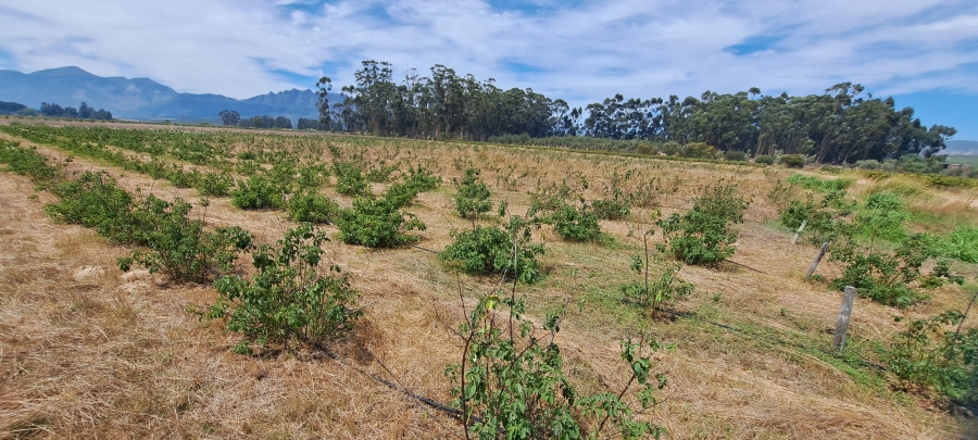 3 Bedroom Property for Sale in Wellington Rural Western Cape